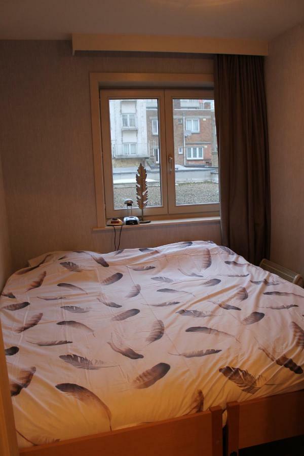 Ensorella Nieuwpoort Luaran gambar